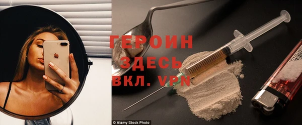 индика Алексин