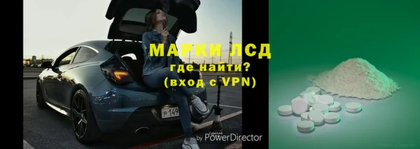 индика Алексин