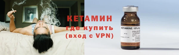 шишки Дмитриев