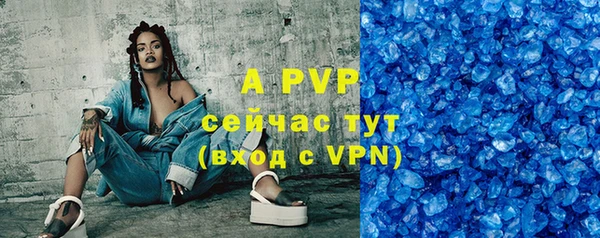 индика Алексин